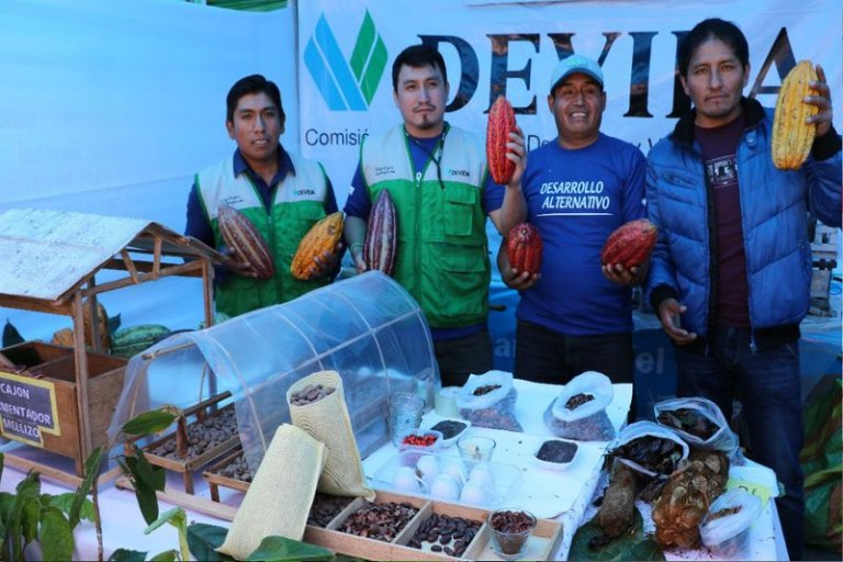 Productores de café y cacao crecen Diario Sin Fronteras