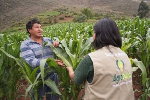 Requisitos no son accesibles a pequeños agricultores.