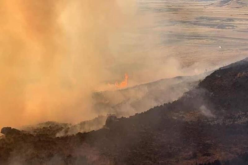 Incendio arrasa con pastizales.