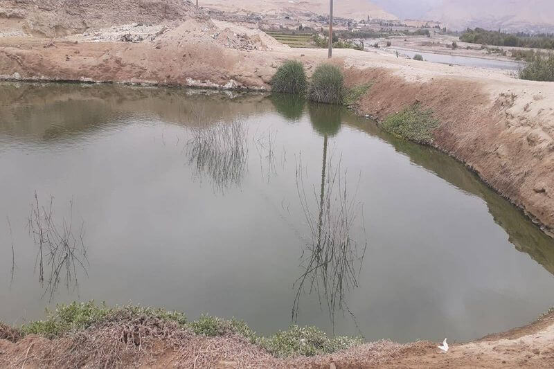 Predominan los malos olores. Además, aguas sucias ya se filtran a las chacras.