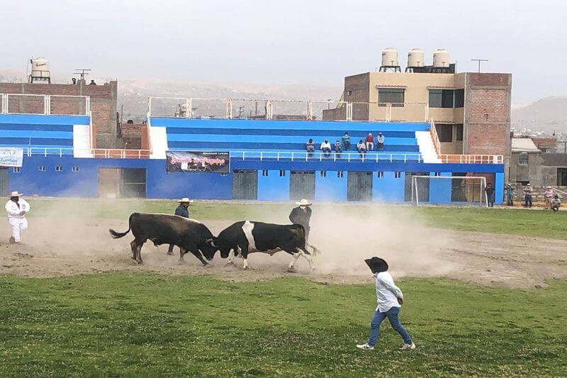 Las luchas empezaron a las 13 horas de ayer en el estadio de Acequia Alta.