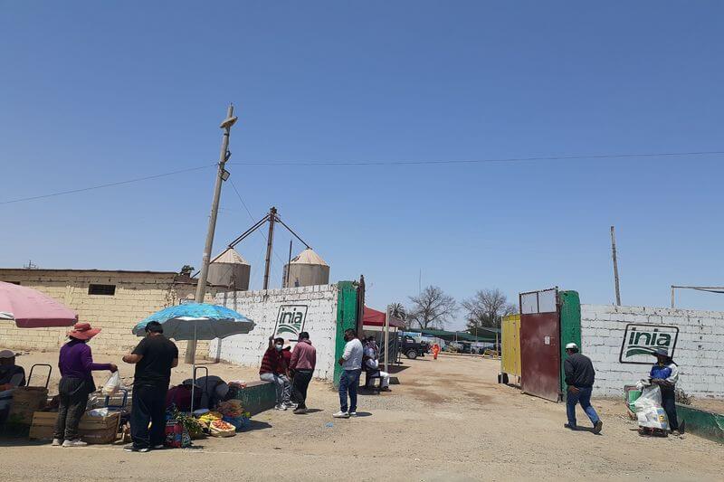 Mercado de productores se ubica actualmente en campo ferial La Agronómica.