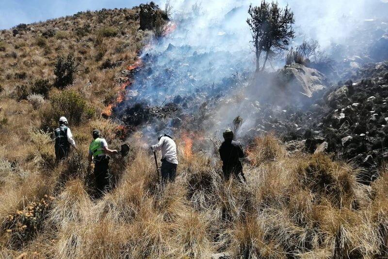 Se logró sofocar incendio forestal registrado en la zona de Mal Paso - Cangallo.
