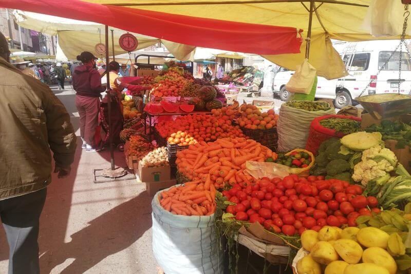 Precio del tomate ha subido en los últimos días.