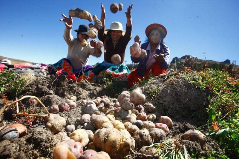 Hombres el campo podrán acceder a los fondos a tasas preferenciales.