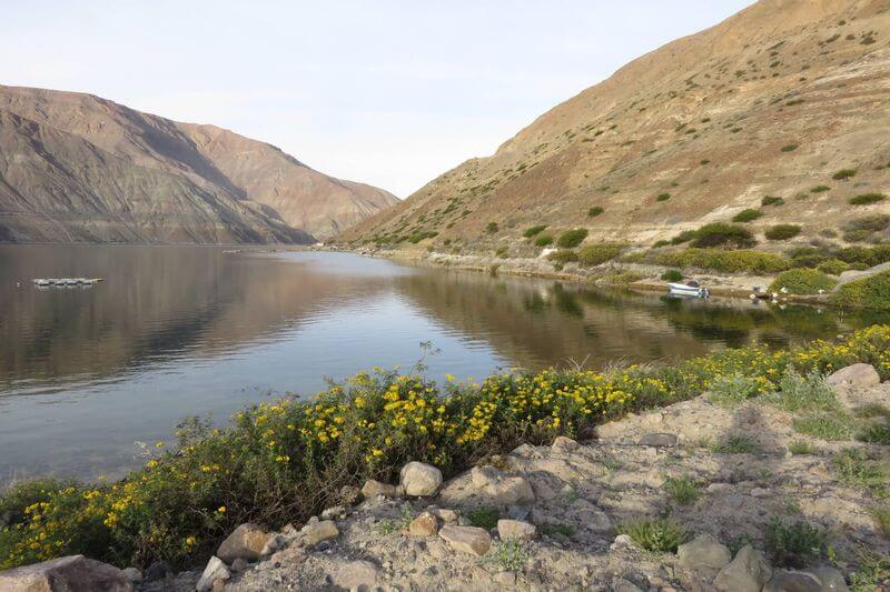 La laguna de Aricota conserva hermosos paisajes que no puede dejar de conocer.