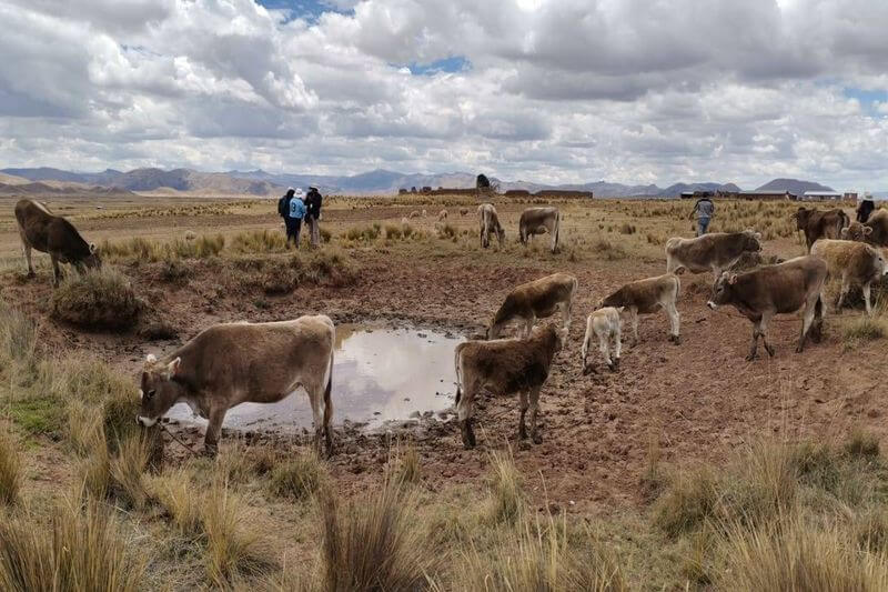 Escasez de agua pone en riesgo la salud de personas.