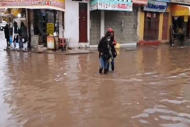 Optaron por ingresar al agua para cruzar la calle.