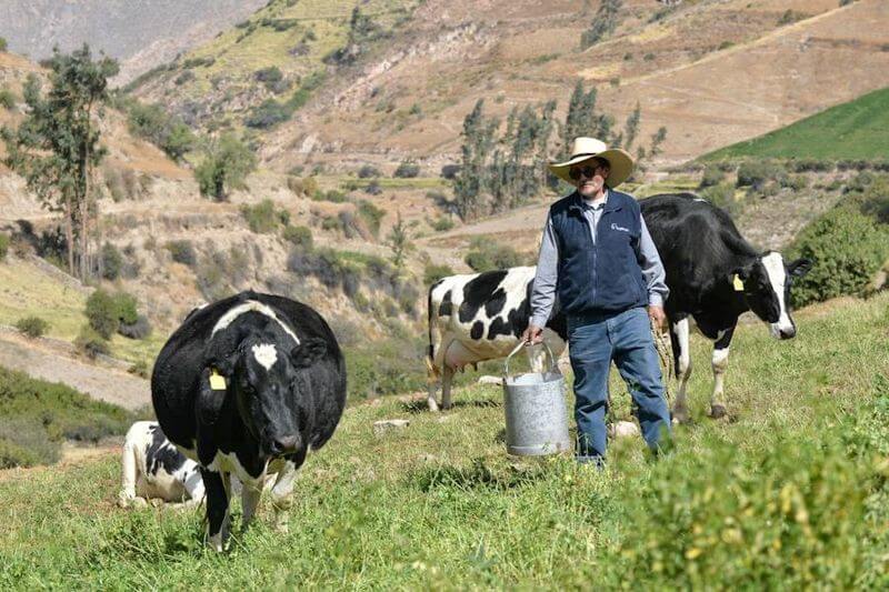 Desde hace un año, los ganaderos de la región piden intervención regional.