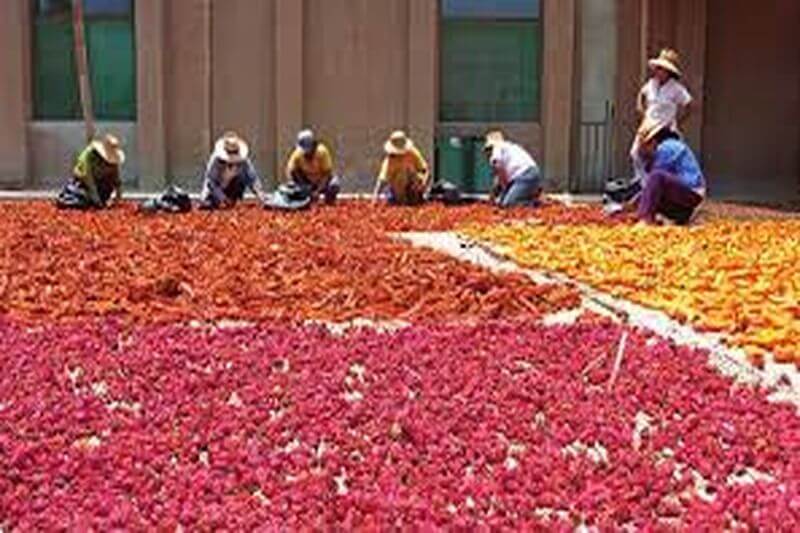 Agricultores advierten escasez de alimentos para los próximos meses.