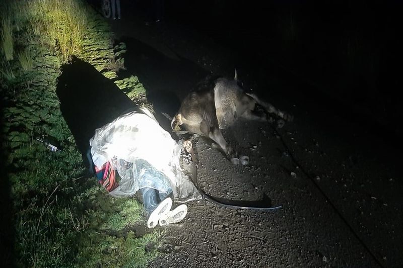 Tormenta lo sorprendió cuando arreaba a su torito.