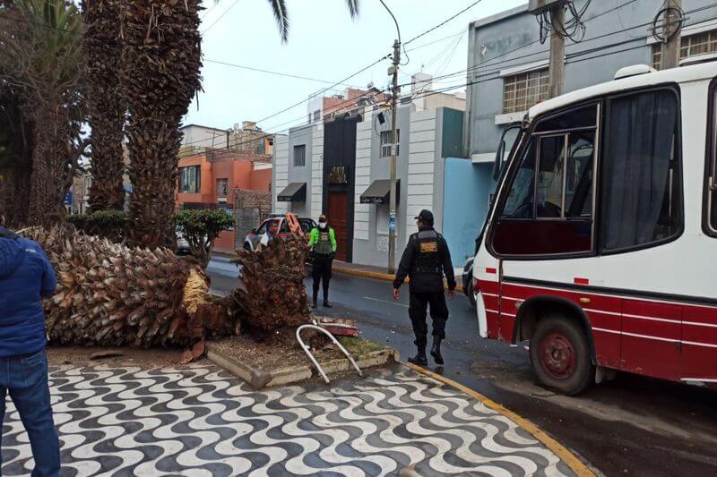 Ambos conductores fueron intervenidos por su imprudencia.