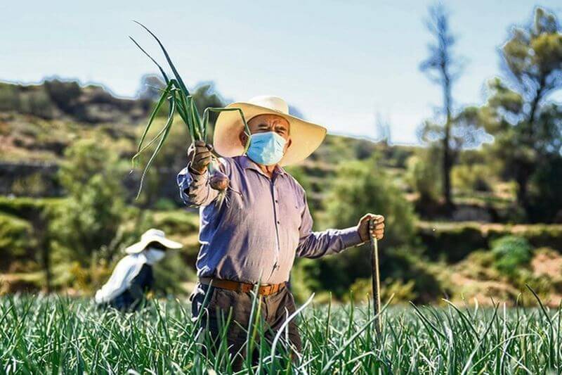 Agricultores informan que ya empezarán a sembrar y no hay fertilizantes.