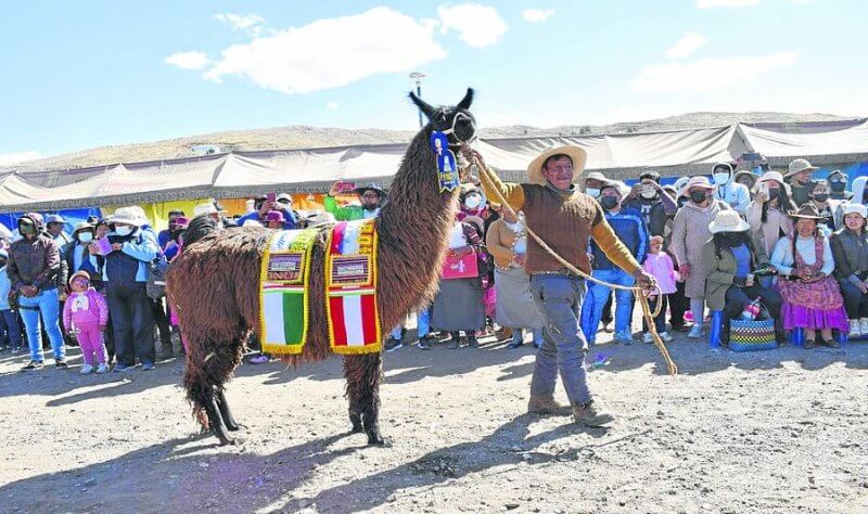 FEAGRO Azángaro 2022 fue un éxito