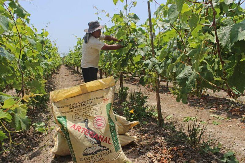 "Fertiabono", auxilio a la agricultura familiar