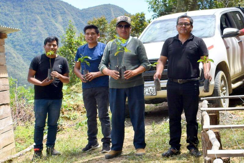 Productores de los valles de Tambopata e Inambari cultivan el mejor café del Mundo.