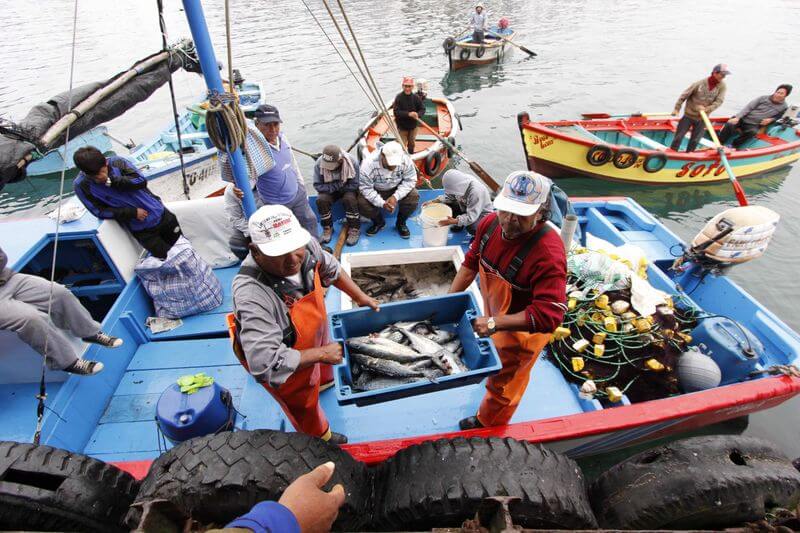 Cargamento de pescado estuvo a punto de echarse a perder en carretera Costanera.