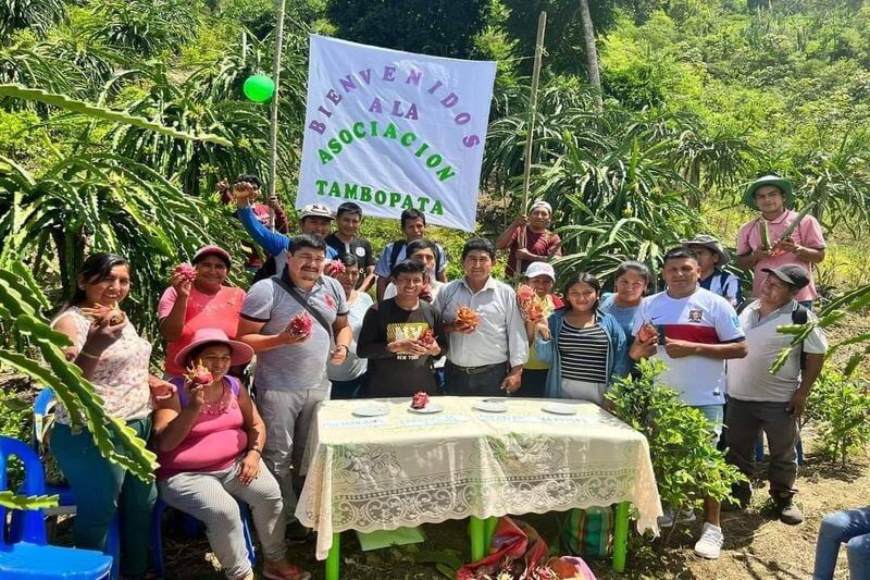 Productores del valle Tambopata de Putina Punco, expusieron la "fruta dragón".