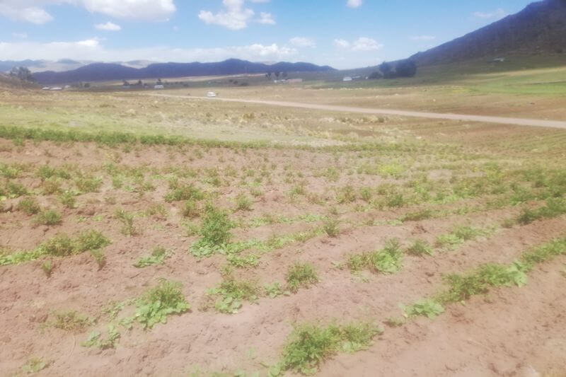 Sector agrícola es perjudicado por la falta de agua.