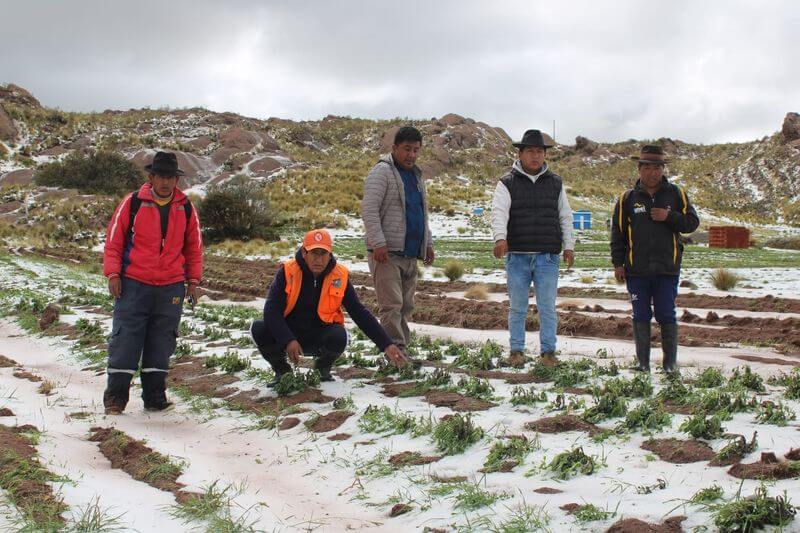 Precipitaciones han puesto en jaque a productores.