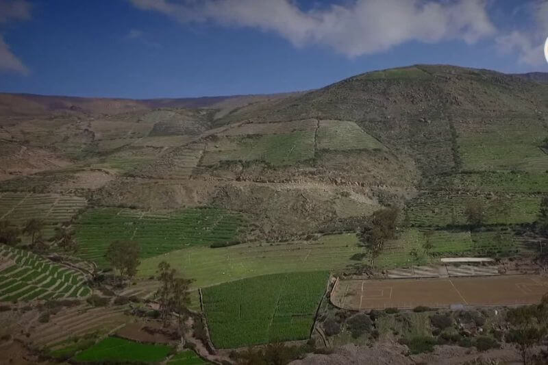 Lo mejor de la producción agraria de Huanuara se expondrá en evento.