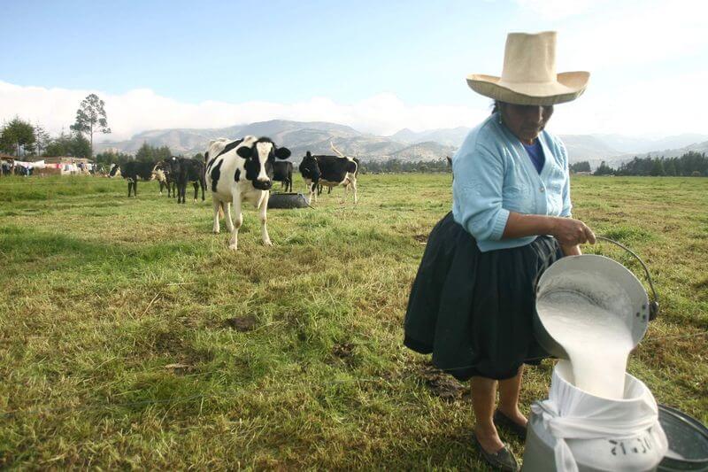 Ganaderos venden reses y tierras para dedicarse a otras actividades.