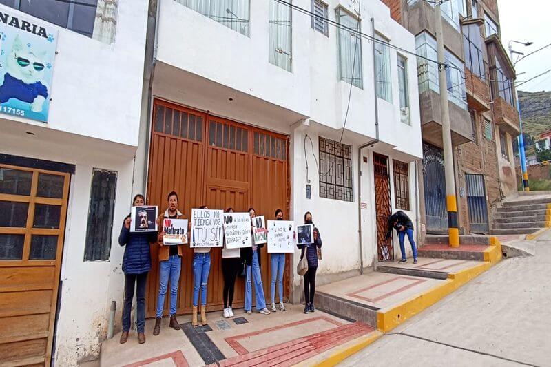 Jóvenes vienen defendiendo los derechos animales.