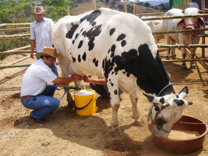 Piden que se pague igual por el lácteo y no haya diferencia entre zonas.