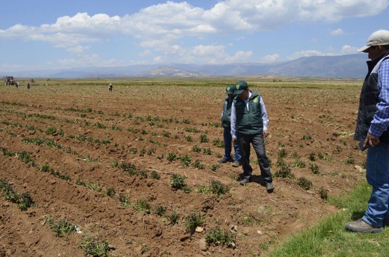 Arequipa es una de las trece regiones incluidas en declaratoria de emergencia.