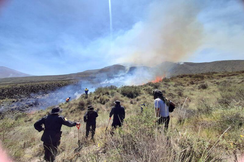 Incendios forestales destruyen flora y fauna de la región Arequipa.