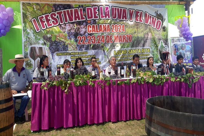 En festival esperan congregar a más de 30 productores vitivinícolas.