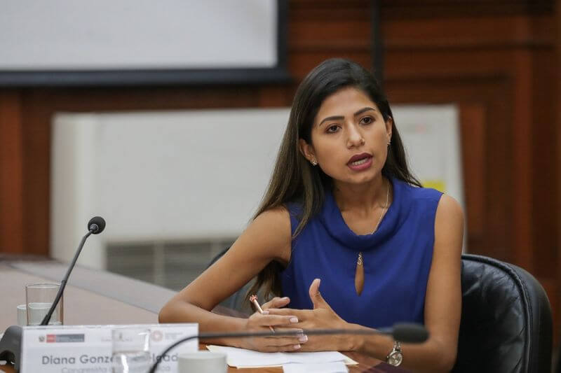 Congresista Diana Gonzales presentó proyecto de ley.