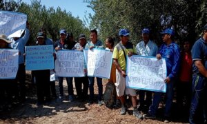 Los agricultores de olivo en el distrito La Yarada-Los Palos realizaron este lunes un "plantón",