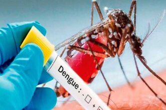 Reportan tres casos de dengue autóctono.