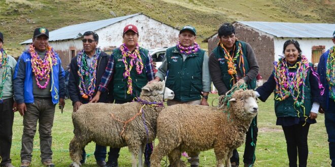 Iniciativa busca beneficiar a familias en Puno.