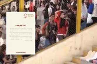 Los incidentes fueron captados en video por los hinchas de Botafogo.
