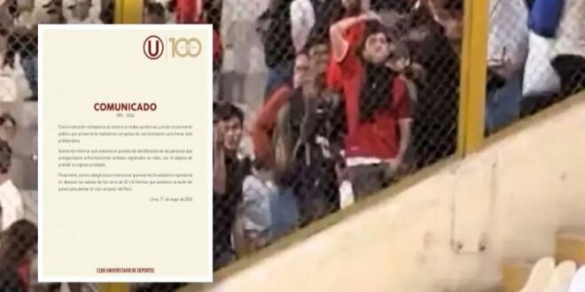 Los incidentes fueron captados en video por los hinchas de Botafogo.