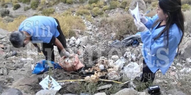 Hallan 10 cráneos humanos en Chiguata.