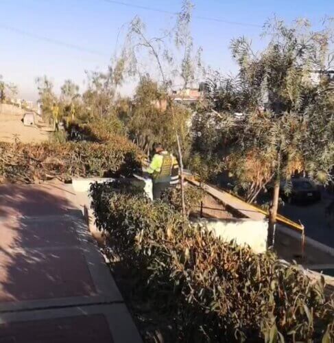 Arequipa: Hallan cadáver de varón en Miguel Grau en Paucarpata