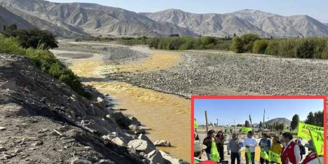 Verificaron contaminación del río Tambo.