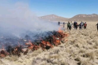 Incendio arrasa más de 5 hectáreas en El Collao