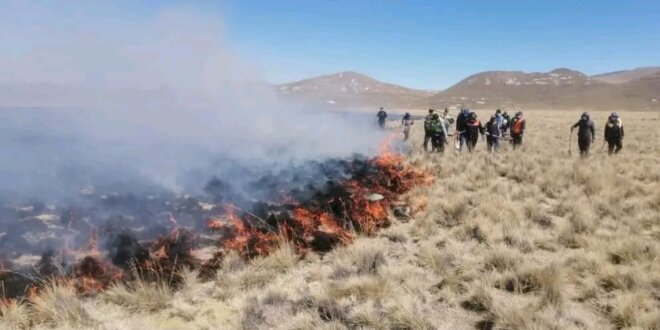 Incendio arrasa más de 5 hectáreas en El Collao
