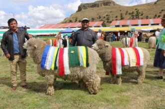 Lanzan Feria Internacional, Agropecuaria y Artesanal.