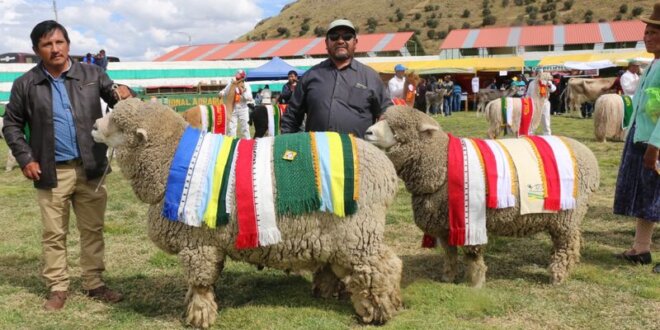 Lanzan Feria Internacional, Agropecuaria y Artesanal.