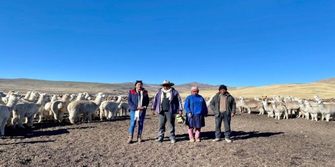 No fueron incluidos en el programa de la Gerencia Regional de Agricultura.