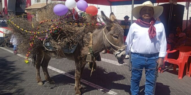 Pobladores participan con mucho entusiasmo en estas actividades.