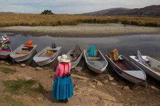 Minería ilegal y otras acciones atacan la vida en el lago.