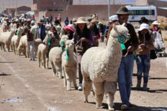 Impulsan el desarrollo agropecuario.