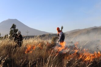 Arequipa: Continúa incendio forestal en Characato