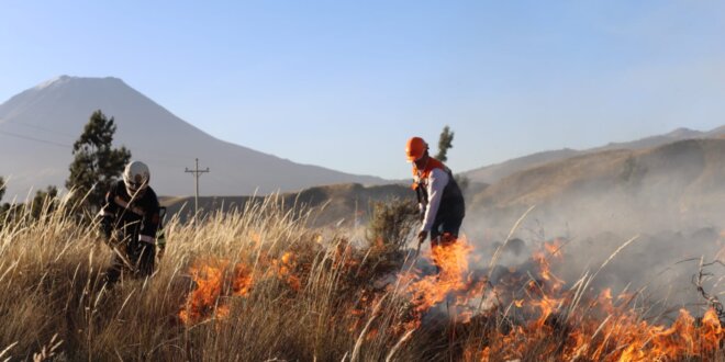 Arequipa: Continúa incendio forestal en Characato